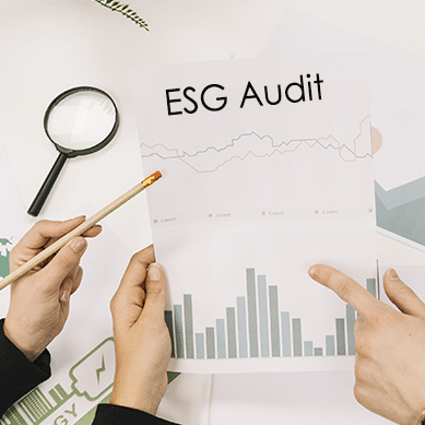 Third Party Assurances – ESG Related Disclosures