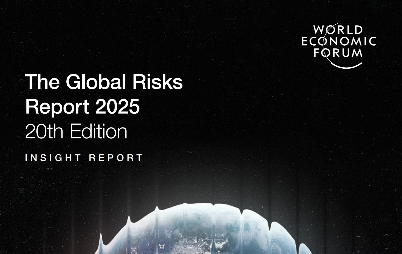 Embedding Sustainability in Business: A Response to Global Risks