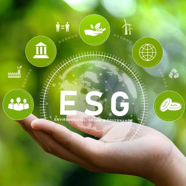 ESG vs. Sustainability: Understanding the Difference and Their Importance