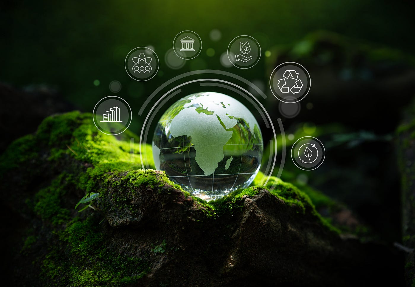 Importance of Embedding Sustainability Practices