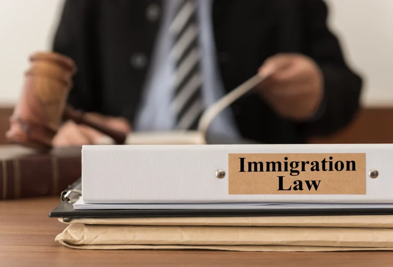 Navigating Immigration Laws: Tips for International Students and Workers