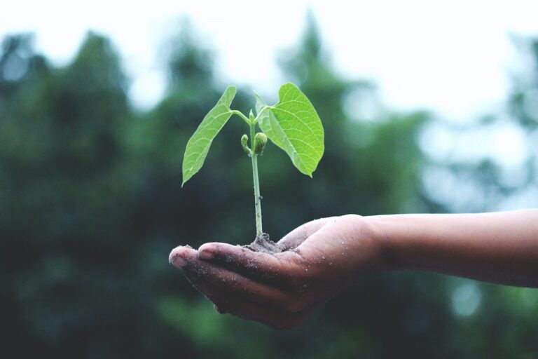 Sustainability and Social Responsibility – ESG